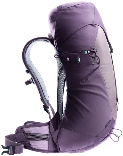 Deuter AC Lite 22 SL